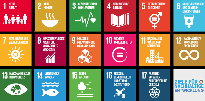 Die „Transformation unserer Welt“: Sustainable Development Goals und wie Sie dazu beitragen können